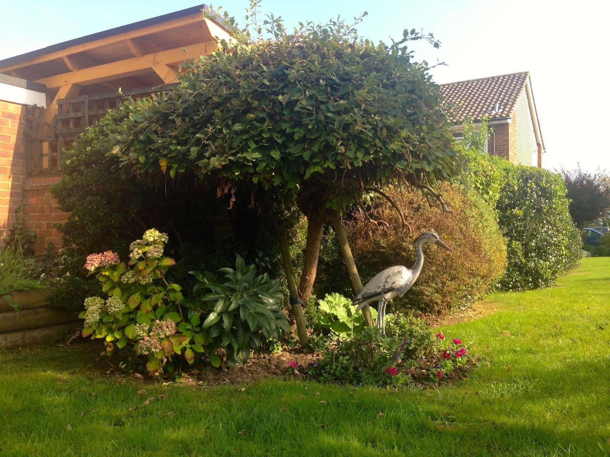 Herons Nest B&B Marlow  Eksteriør bilde